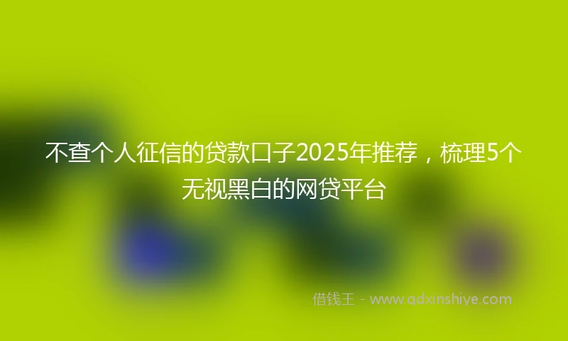不查个人征信的贷款口子2025年推荐,梳理5个无视黑白的网贷平台