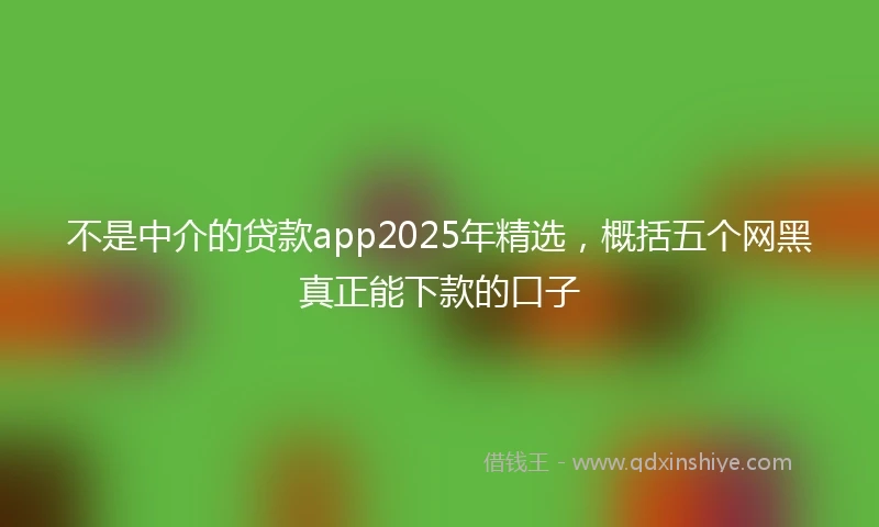 不是中介的贷款app2025年精选，概括五个网黑真正能下款的口子