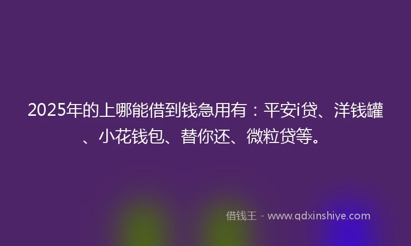 2025年的上哪能借到钱急用有：平安i贷、洋钱罐、小花钱包、替你还、微粒贷等。