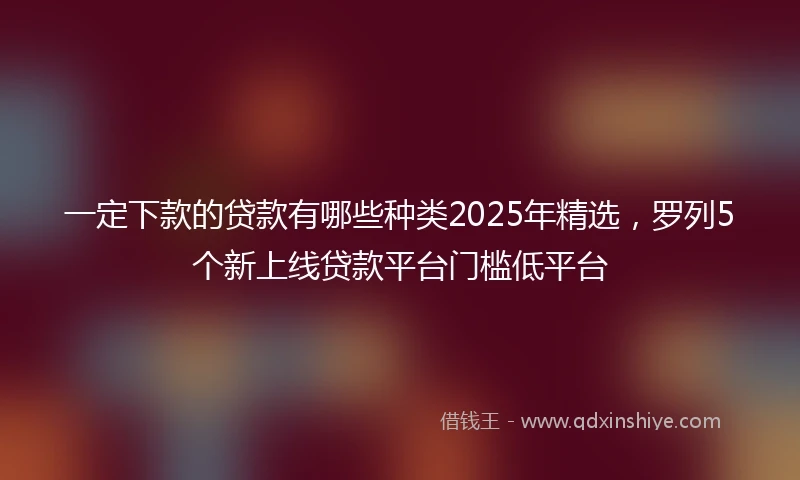 一定下款的贷款有哪些种类2025年精选，罗列5个新上线贷款平台门槛低平台