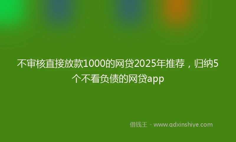 不审核直接放款1000的网贷2025年推荐，归纳5个不看负债的网贷app