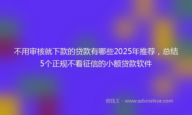 不用审核就下款的贷款有哪些2025年推荐，总结5个正规不看征信的小额贷款软件