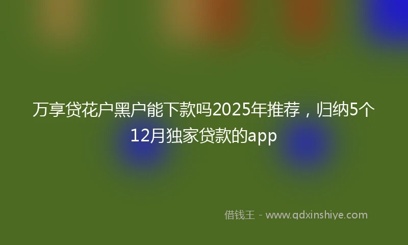 万享贷花户黑户能下款吗2025年推荐，归纳5个12月独家贷款的app