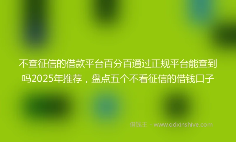不查征信的借款平台百分百通过正规平台能查到吗2025年推荐，盘点五个不看征信的借钱口子