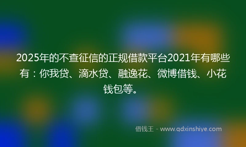 2025年的不查征信的正规借款平台2021年有哪些有：你我贷、滴水贷、融逸花、微博借钱、小花钱包等。
