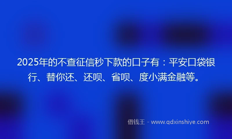 2025年的不查征信秒下款的口子有：平安口袋银行、替你还、还呗、省呗、度小满金融等。