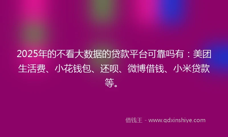2025年的不看大数据的贷款平台可靠吗有：美团生活费、小花钱包、还呗、微博借钱、小米贷款等。