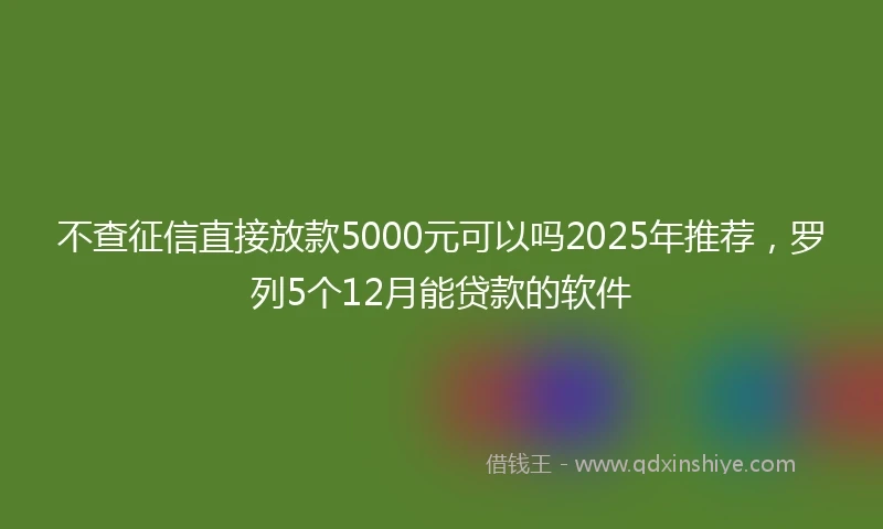 不查征信直接放款5000元可以吗2025年推荐，罗列5个12月能贷款的软件