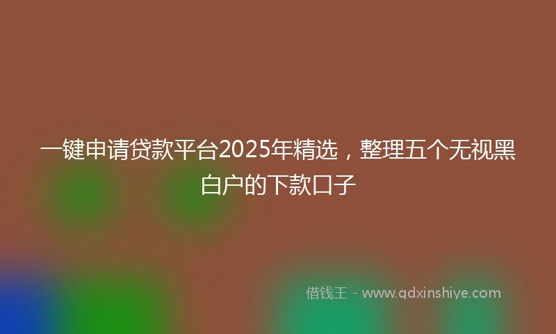 一键申请贷款平台2025年精选，整理五个无视黑白户的下款口子