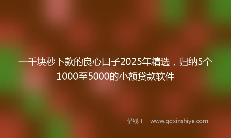 一千块秒下款的良心口子2025年精选，归纳5个1000至5000的小额贷款软件