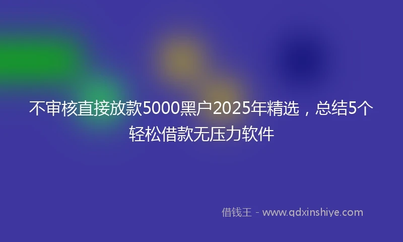 不审核直接放款5000黑户2025年精选，总结5个轻松借款无压力软件