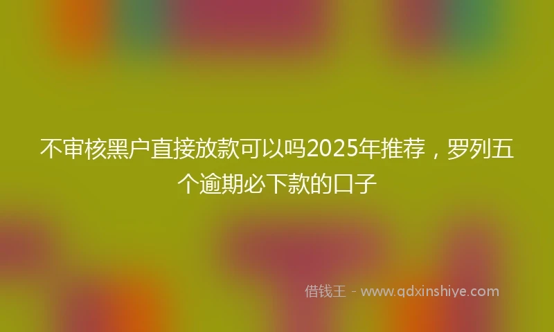 不审核黑户直接放款可以吗2025年推荐，罗列五个逾期必下款的口子