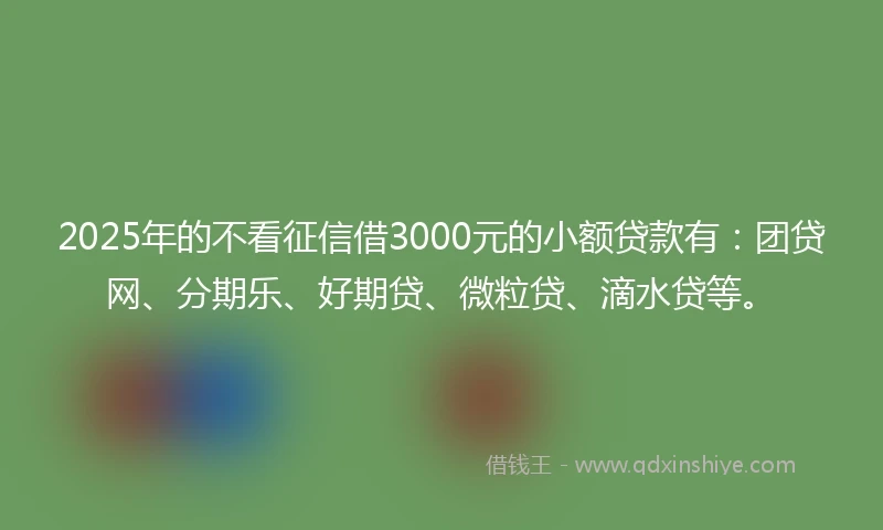 2025年的不看征信借3000元的小额贷款有：团贷网、分期乐、好期贷、微粒贷、滴水贷等。