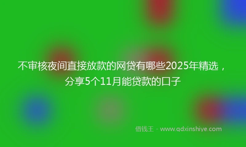 不审核夜间直接放款的网贷有哪些2025年精选，分享5个11月能贷款的口子