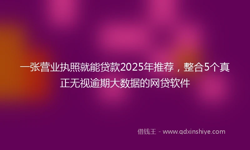 一张营业执照就能贷款2025年推荐，整合5个真正无视逾期大数据的网贷软件