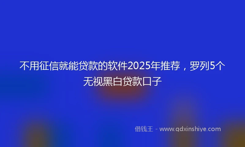不用征信就能贷款的软件2025年推荐，罗列5个无视黑白贷款口子