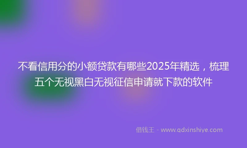 不看信用分的小额贷款有哪些2025年精选，梳理五个无视黑白无视征信申请就下款的软件