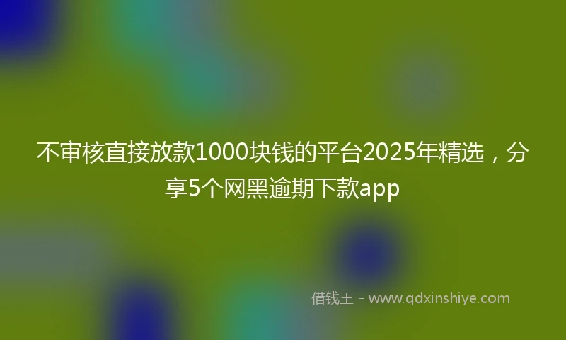 不审核直接放款1000块钱的平台2025年精选，分享5个网黑逾期下款app