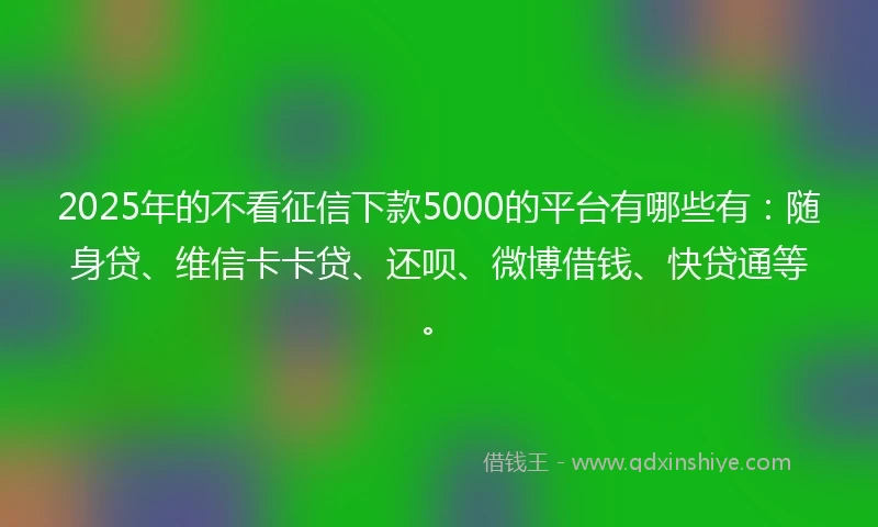 2025年的不看征信下款5000的平台有哪些有：随身贷、维信卡卡贷、还呗、微博借钱、快贷通等。
