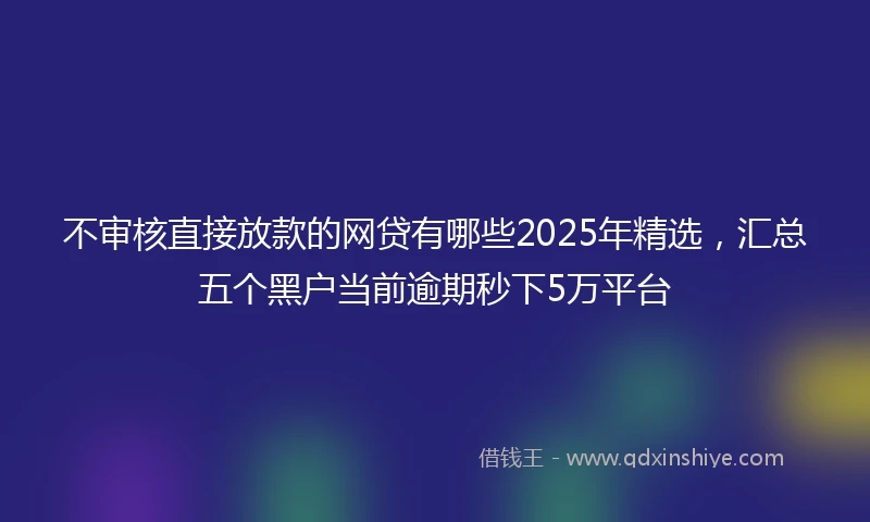 不审核直接放款的网贷有哪些2025年精选，汇总五个黑户当前逾期秒下5万平台