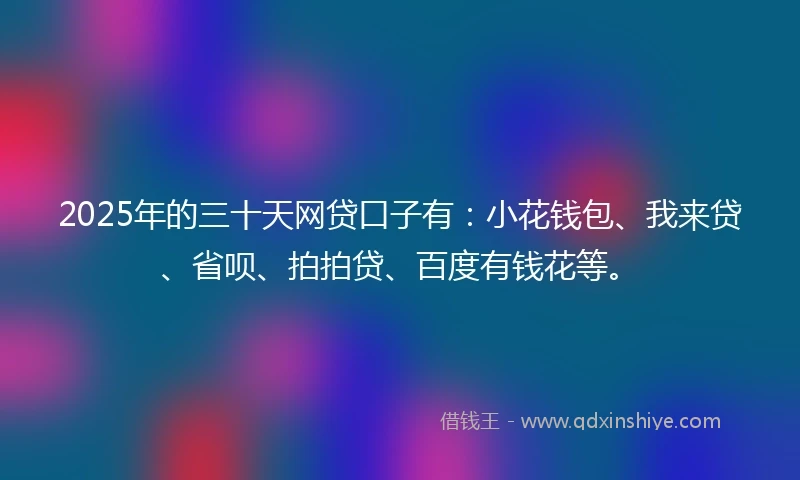 2025年的三十天网贷口子有：小花钱包、我来贷、省呗、拍拍贷、百度有钱花等。