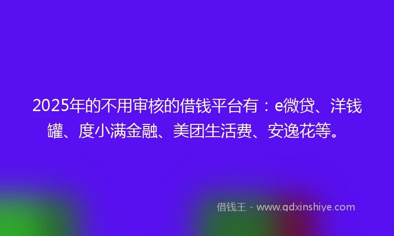 2025年的不用审核的借钱平台有：e微贷、洋钱罐、度小满金融、美团生活费、安逸花等。