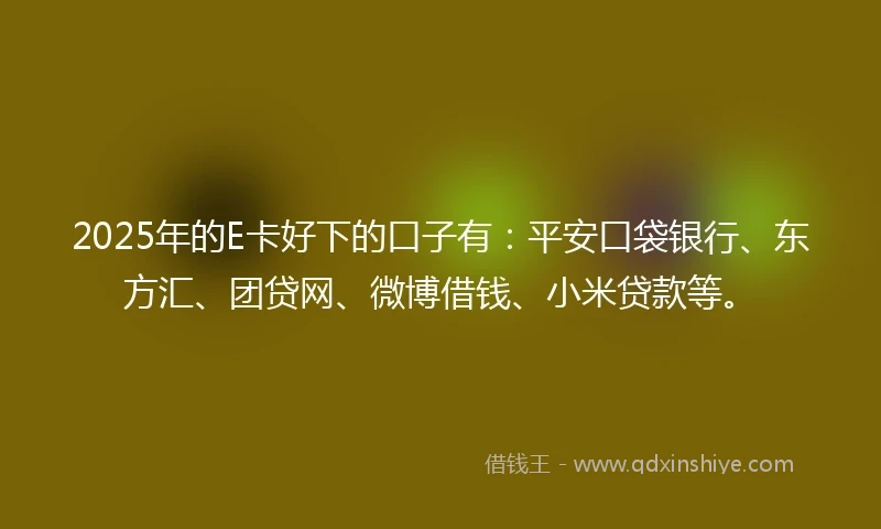 2025年的E卡好下的口子有:平安口袋银行、东方汇、团贷网、微博借钱、小米贷款等。