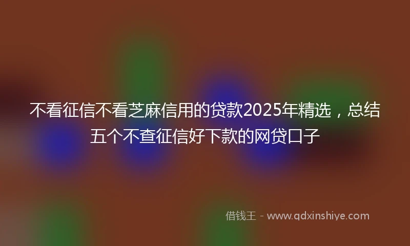 不看征信不看芝麻信用的贷款2025年精选，总结五个不查征信好下款的网贷口子