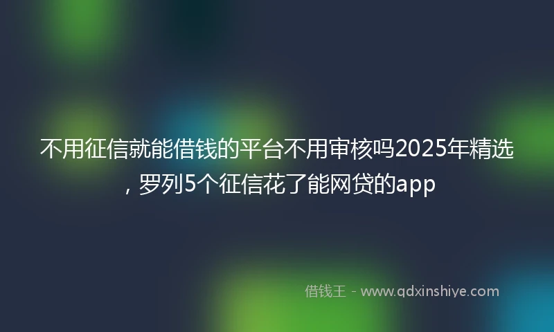 不用征信就能借钱的平台不用审核吗2025年精选，罗列5个征信花了能网贷的app