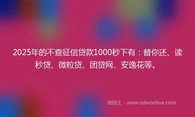 2025年的不查征信贷款1000秒下有：替你还、读秒贷、微粒贷、团贷网、安逸花等。