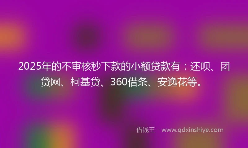 2025年的不审核秒下款的小额贷款有：还呗、团贷网、柯基贷、360借条、安逸花等。