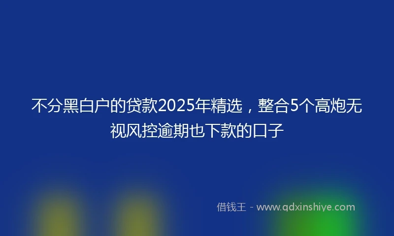 不分黑白户的贷款2025年精选，整合5个高炮无视风控逾期也下款的口子