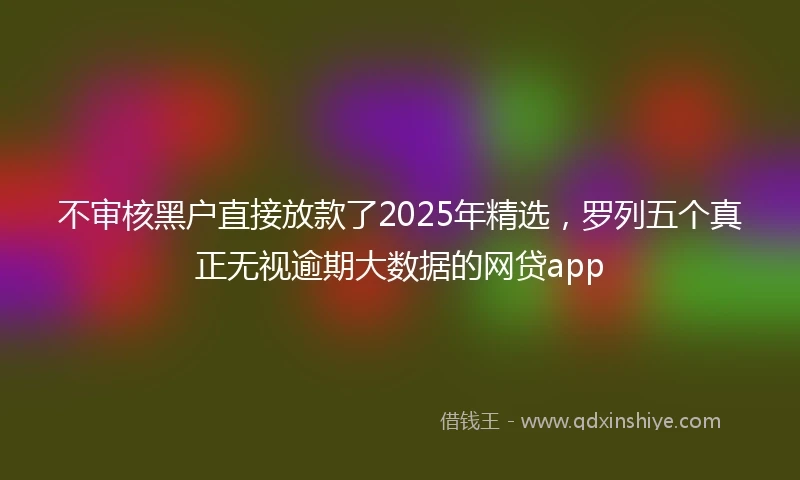 不审核黑户直接放款了2025年精选，罗列五个真正无视逾期大数据的网贷app