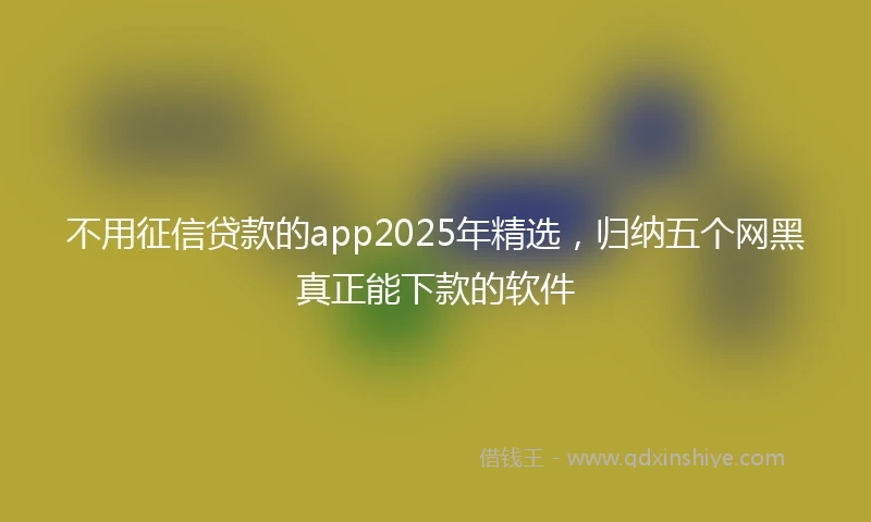 不用征信贷款的app2025年精选，归纳五个网黑真正能下款的软件
