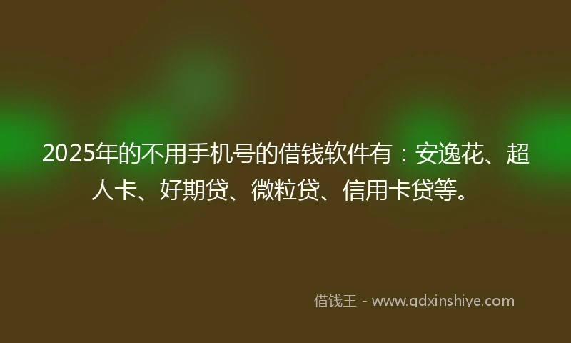 2025年的不用手机号的借钱软件有：安逸花、超人卡、好期贷、微粒贷、信用卡贷等。