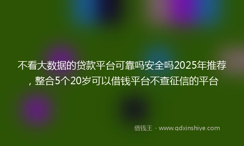 不看大数据的贷款平台可靠吗安全吗2025年推荐，整合5个20岁可以借钱平台不查征信的平台