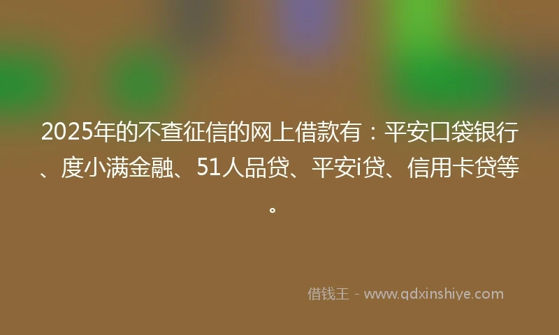 2025年的不查征信的网上借款有：平安口袋银行、度小满金融、51人品贷、平安i贷、信用卡贷等。