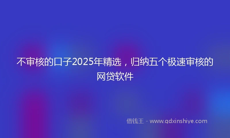 不审核的口子2025年精选，归纳五个极速审核的网贷软件