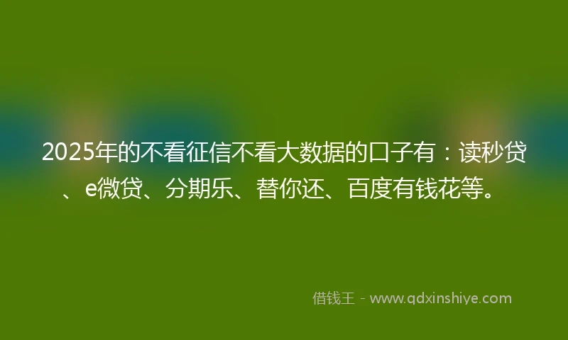 2025年的不看征信不看大数据的口子有：读秒贷、e微贷、分期乐、替你还、百度有钱花等。