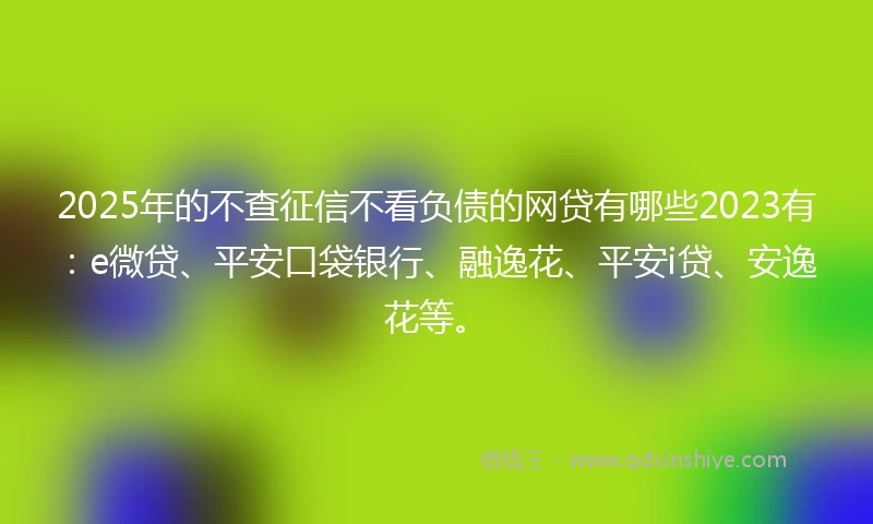 2025年的不查征信不看负债的网贷有哪些2023有：e微贷、平安口袋银行、融逸花、平安i贷、安逸花等。