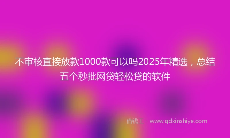 不审核直接放款1000款可以吗2025年精选，总结五个秒批网贷轻松贷的软件