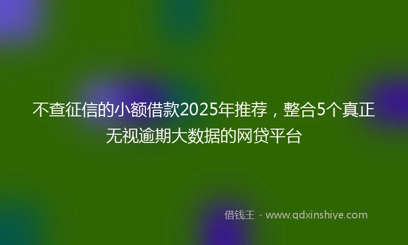 不查征信的小额借款2025年推荐，整合5个真正无视逾期大数据的网贷平台