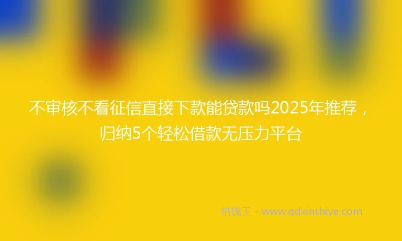 不审核不看征信直接下款能贷款吗2025年推荐,归纳5个轻松借款无压力平台