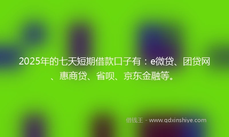 2025年的七天短期借款口子有：e微贷、团贷网、惠商贷、省呗、京东金融等。
