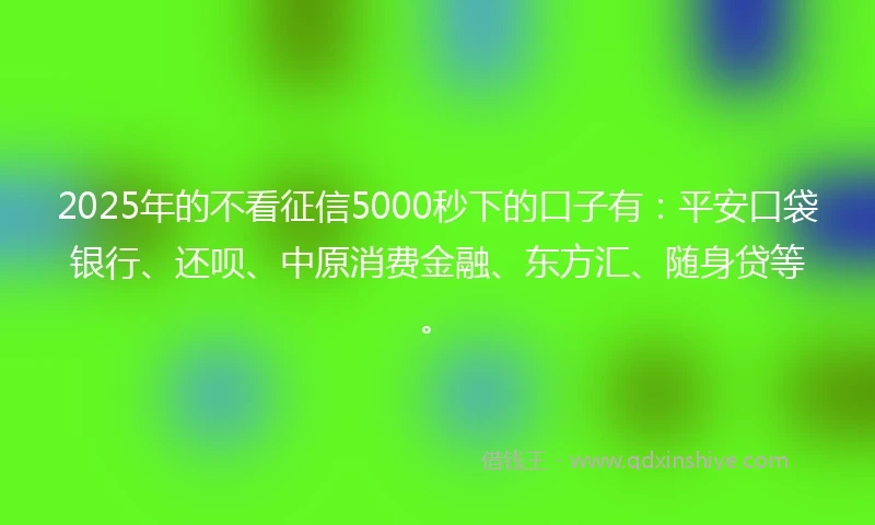 2025年的不看征信5000秒下的口子有：平安口袋银行、还呗、中原消费金融、东方汇、随身贷等。