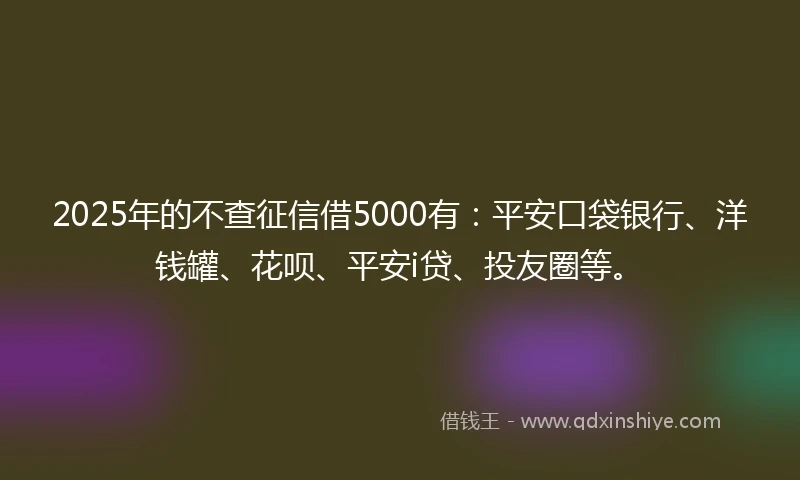 2025年的不查征信借5000有：平安口袋银行、洋钱罐、花呗、平安i贷、投友圈等。