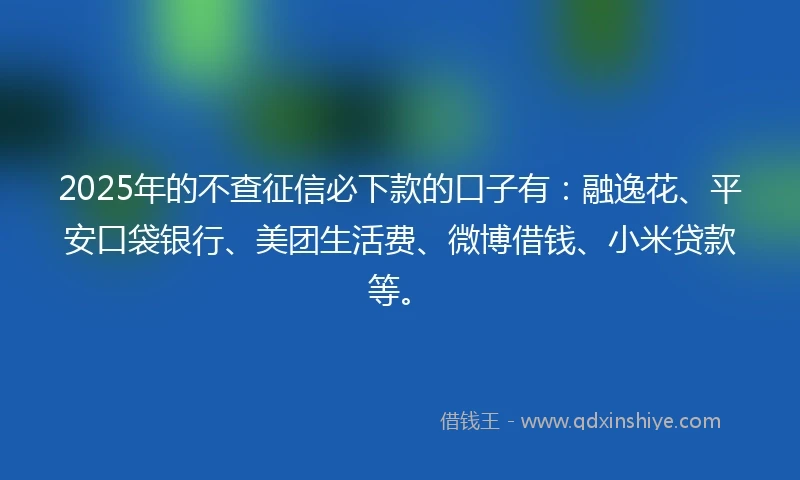 2025年的不查征信必下款的口子有：融逸花、平安口袋银行、美团生活费、微博借钱、小米贷款等。
