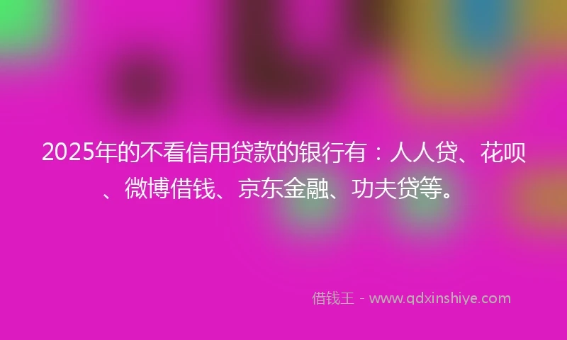 2025年的不看信用贷款的银行有：人人贷、花呗、微博借钱、京东金融、功夫贷等。