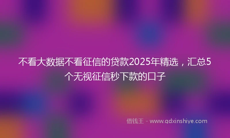 不看大数据不看征信的贷款2025年精选，汇总5个无视征信秒下款的口子