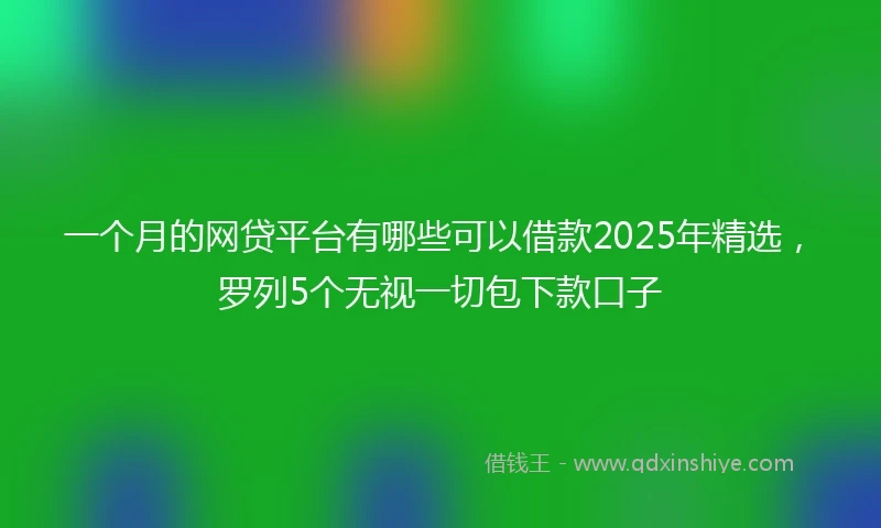 一个月的网贷平台有哪些可以借款2025年精选，罗列5个无视一切包下款口子